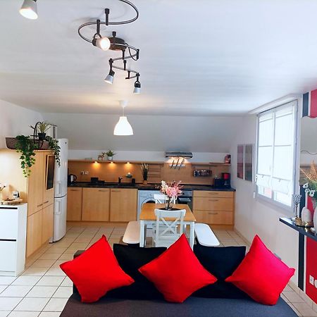 Le Duplex Decontracte Apartment Fleury-les-Aubrais Exterior photo