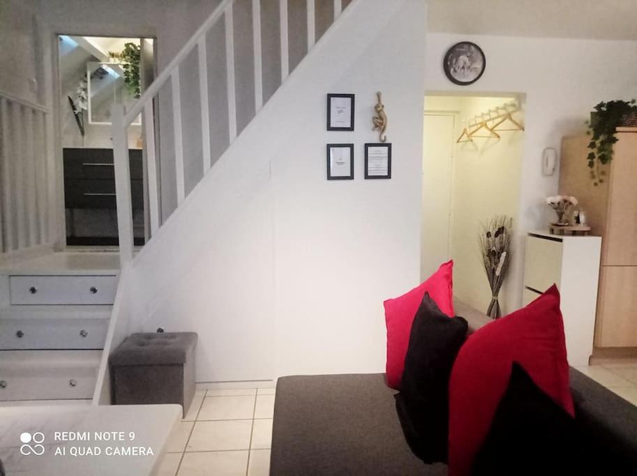 Le Duplex Decontracte Apartment Fleury-les-Aubrais Exterior photo