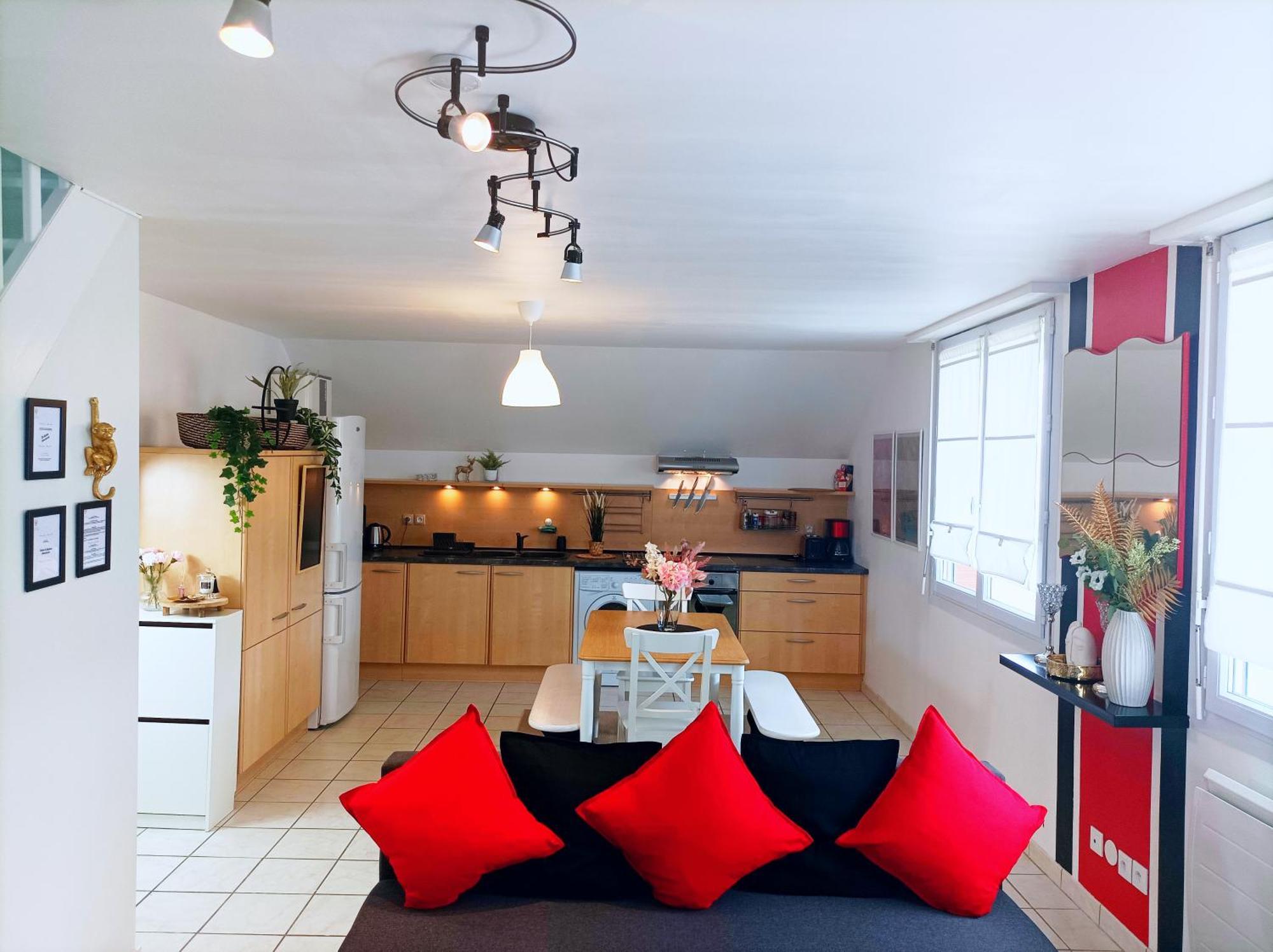Le Duplex Decontracte Apartment Fleury-les-Aubrais Exterior photo